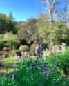 sttaringart Altpins Profile Picture