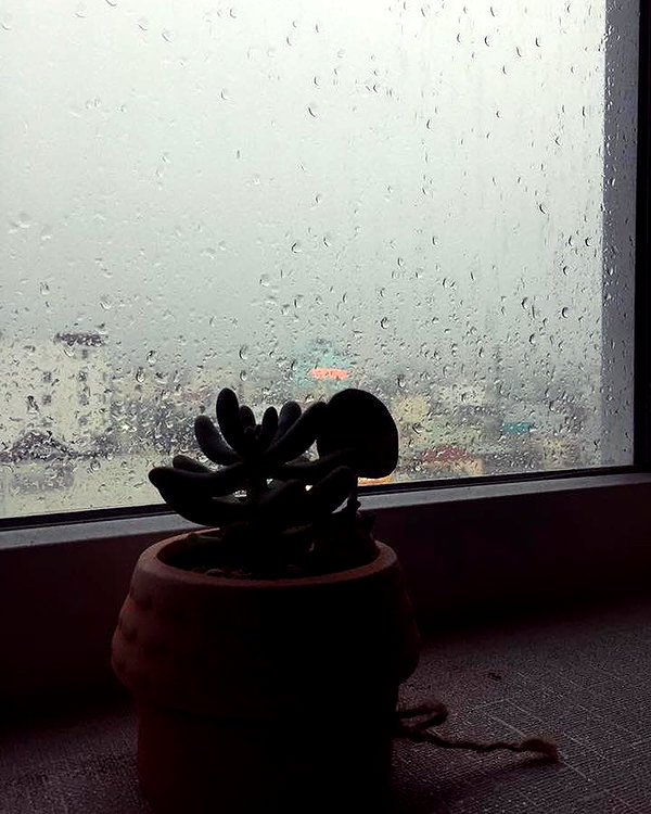 suadaunanh_ne instagram image archive image