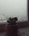 suadaunanh_ne Altpins Profile Picture