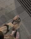 suadaunanh_ne Altpins Profile Picture