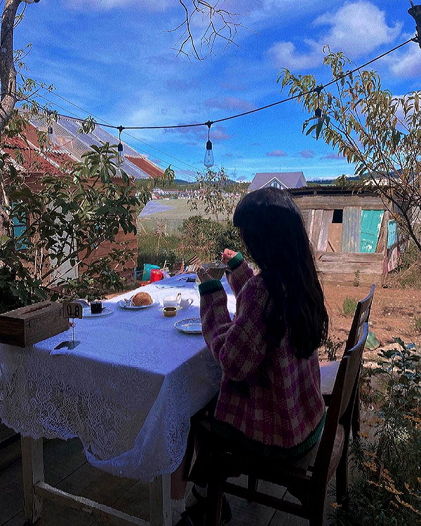 suadaunanh_ne instagram image archive image