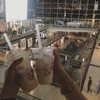 suadaunanh_ne Altpins Profile Picture