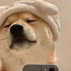 suadaunanh_ne Altpins Profile Picture