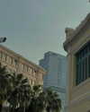 suadaunanh_ne Altpins Profile Picture