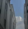 suadaunanh_ne Altpins Profile Picture