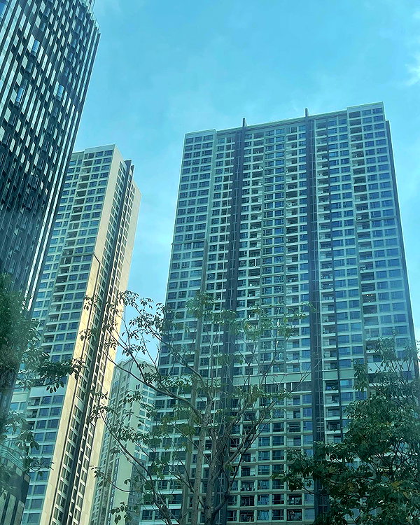 suadaunanh_ne instagram image archive image