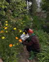 suadaunanh_ne Altpins Profile Picture