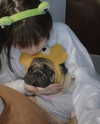 suadaunanh_ne Altpins Profile Picture