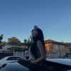suadaunanh_ne Altpins Profile Picture
