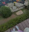 suadaunanh_ne Altpins Profile Picture