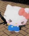 suadaunanh_ne Altpins Profile Picture