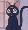 suadaunanh_ne Altpins Profile Picture