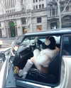 suadaunanh_ne Altpins Profile Picture
