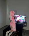 suadaunanh_ne Altpins Profile Picture