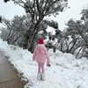 suadaunanh_ne Altpins Profile Picture
