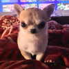 suik0muu Altpins Profile Picture
