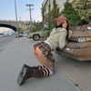 suik0muu Altpins Profile Picture
