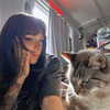 suik0muu Altpins Profile Picture