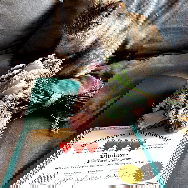 suikomuu suikomuu archive image