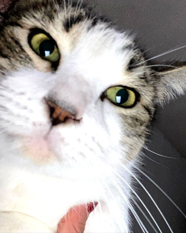 sulisssx instagram image archive image