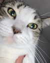 sulisssx Altpins Profile Picture