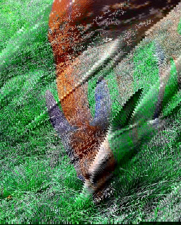 sun_bunky sun_bunky archive image