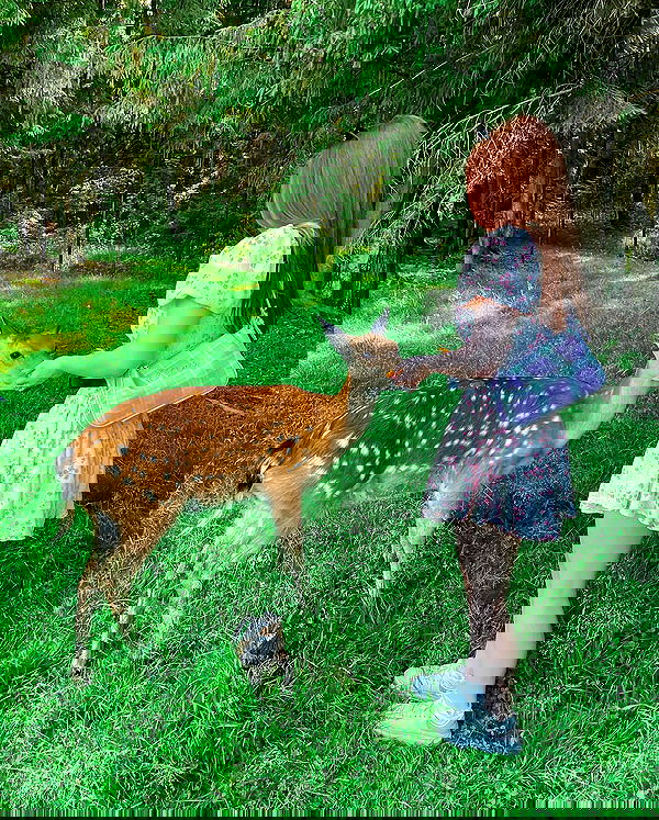 sun_bunky sun_bunky archive image