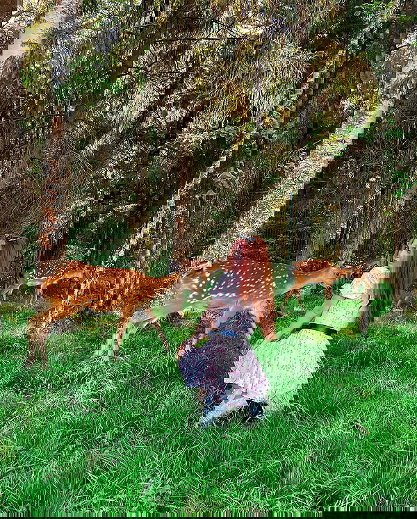 sun_bunky sun_bunky archive image