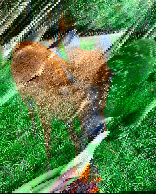 sun_bunky sun_bunky archive image