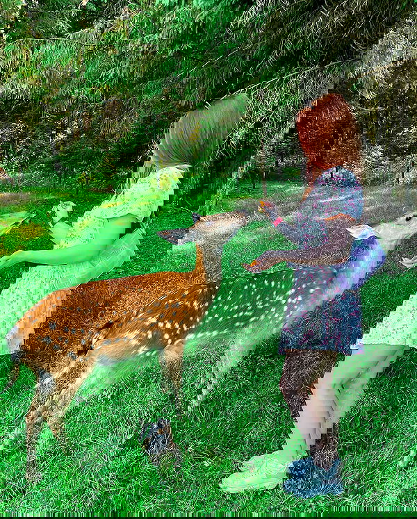 sun_bunky sun_bunky archive image