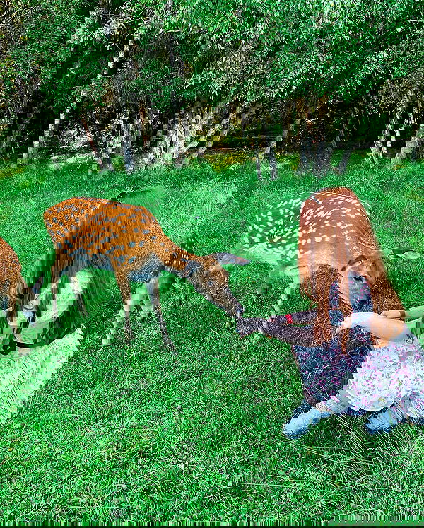 sun_bunky sun_bunky archive image