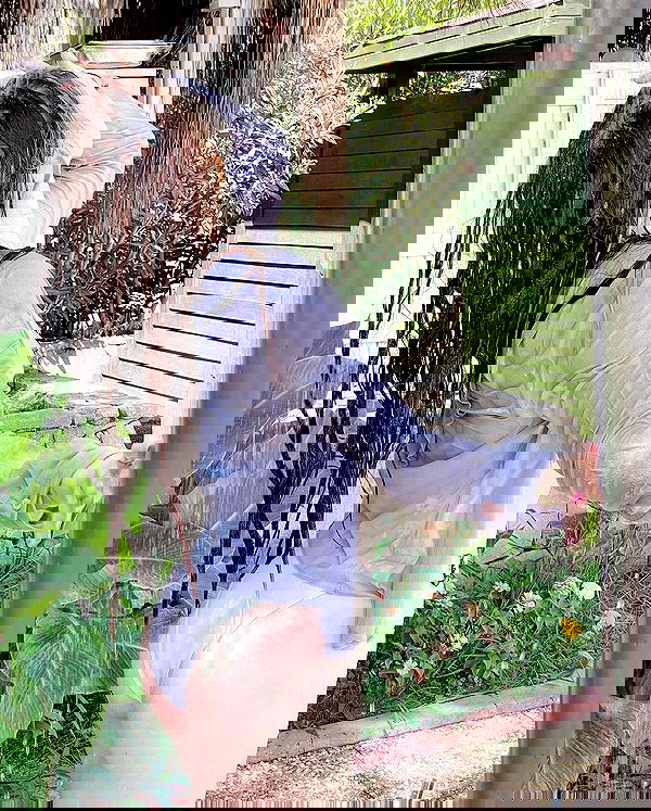 sun_bunky sun_bunky archive image