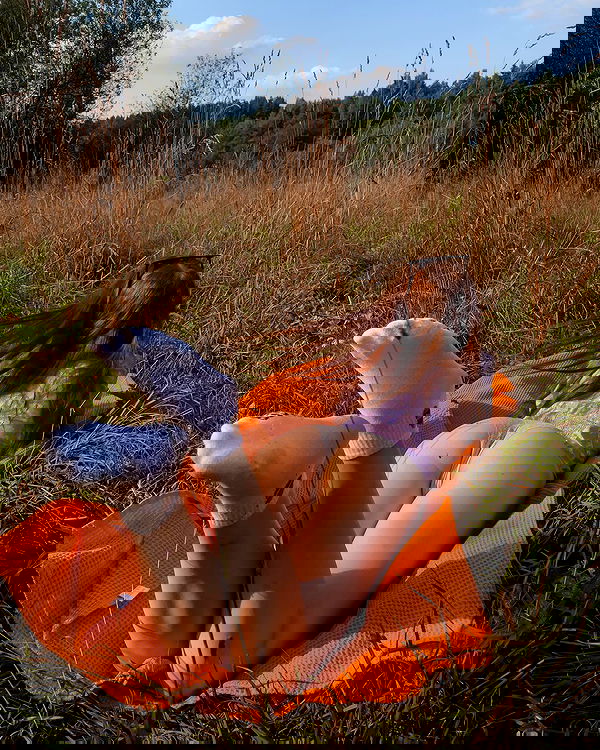 sun_bunky sun_bunky archive image