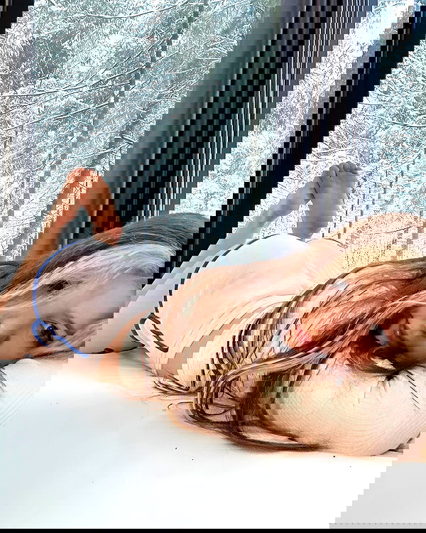 sun_bunky sun_bunky archive image