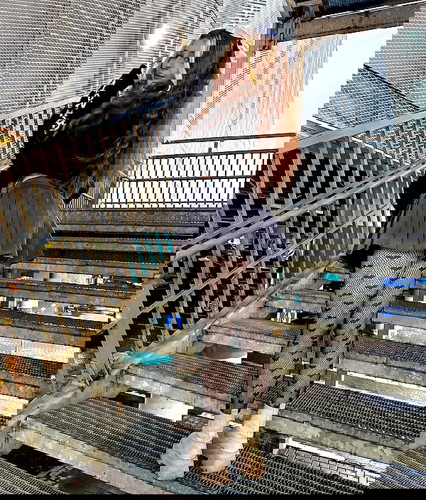 sun_bunky sun_bunky archive image