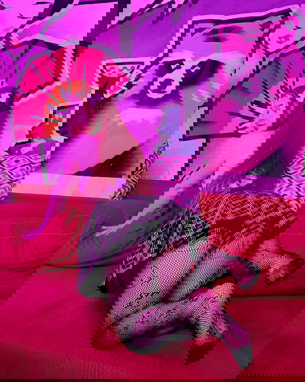 sun_bunky sun_bunky archive image