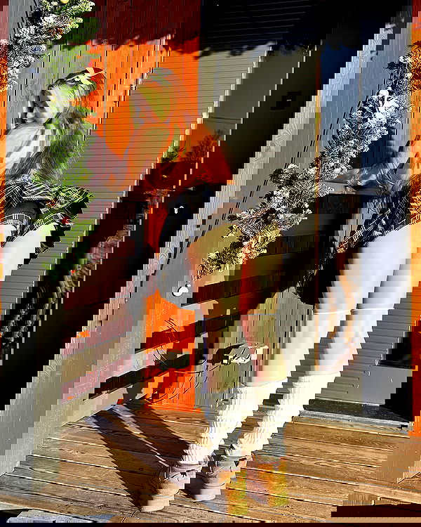 sun_bunky sun_bunky archive image