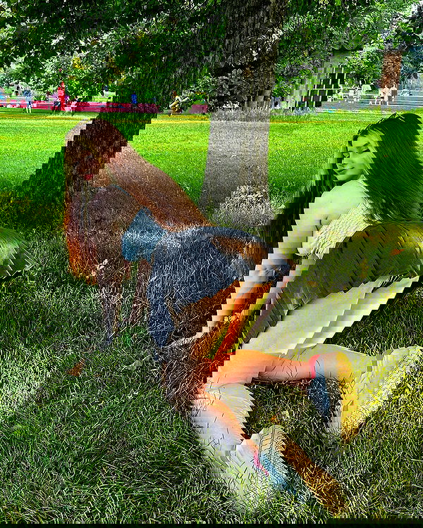 sun_bunky sun_bunky archive image