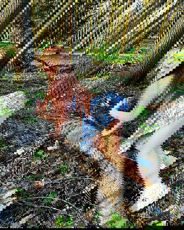 sun_bunky sun_bunky archive image