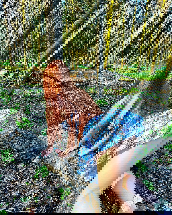 sun_bunky sun_bunky archive image