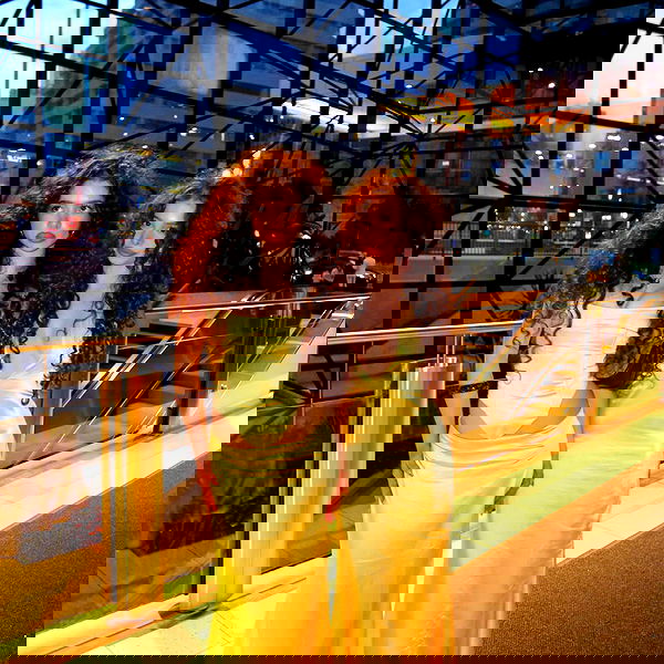 sundaykalogeras sundaykalogeras archive image