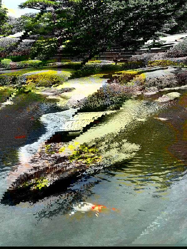 sundaykalogeras sundaykalogeras archive image