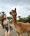supcaitlin Altpins Profile Picture