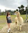 supcaitlin Altpins Profile Picture