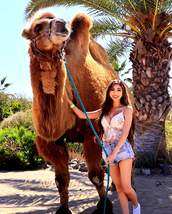 supcaitlin instagram image archive image