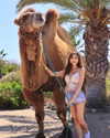 supcaitlin Altpins Profile Picture