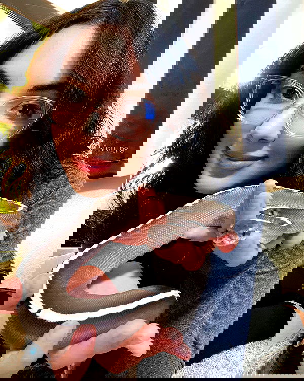 susu_jpg susu_jpg archive image