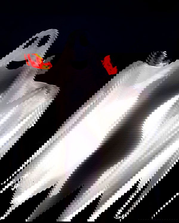 susu_jpg susu_jpg archive image