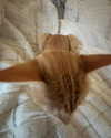 swag_charhar Altpins Profile Picture