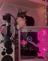 swag_charhar Altpins Profile Picture
